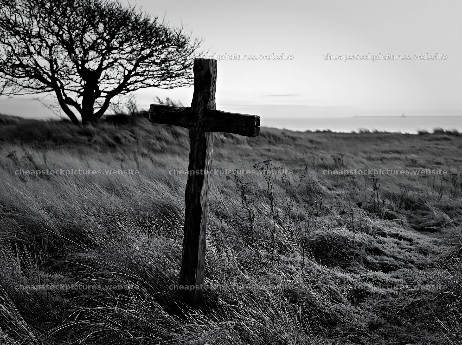 Carved oak cross in frosted meadow near tree – stock pictures 9174x6866