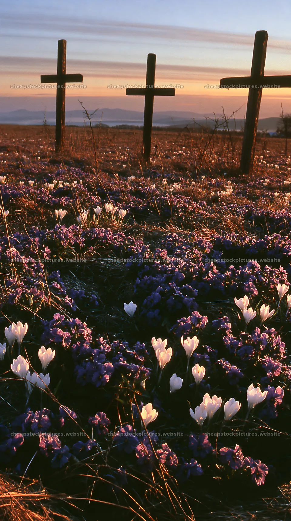Three rustic crosses in a winter meadow filled with flowers – stock pictures 5938x10608