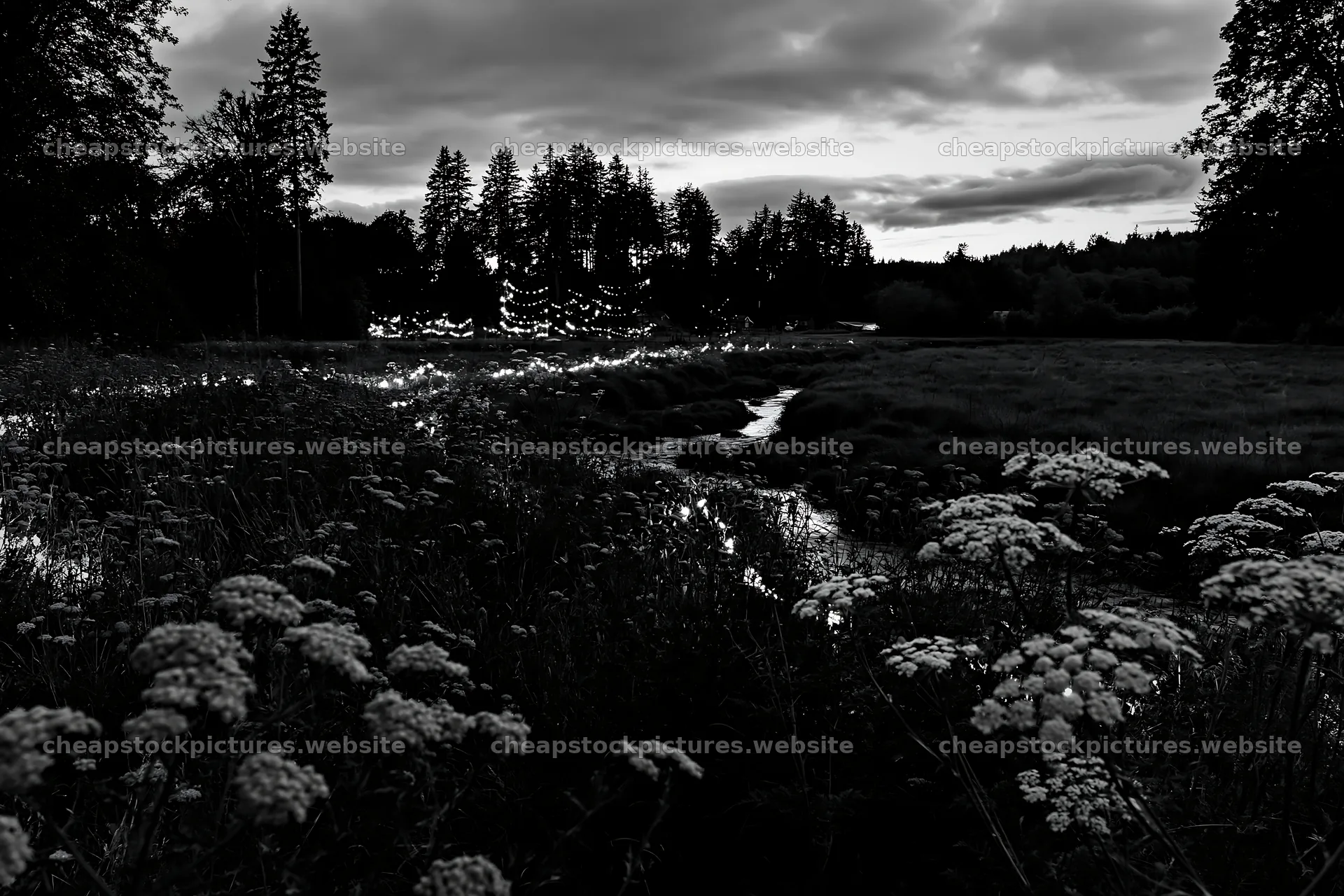 Christmas lights at dusk beside stream in meadow – stock pictures 9722x6480