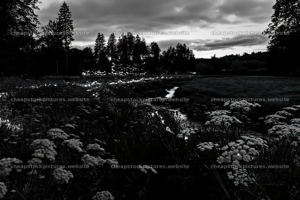 Christmas lights at dusk beside stream in meadow – stock pictures 9722x6480