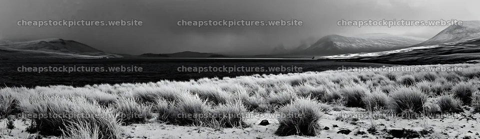 Snowy lakeside meadow with grass and distant mountains – stock pictures 14762x4268