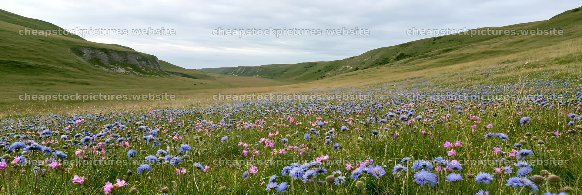Cloudy chalk grassland meadow with wildflowers in bloom – stock pictures 13690x4602