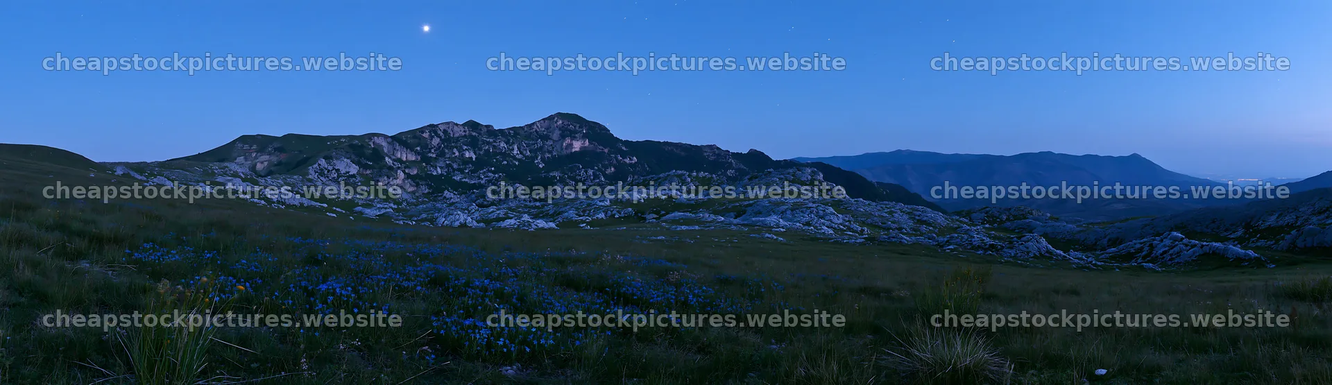 Starlit meadow with mountains and blue flowers at dusk – stock pictures 14762x4268