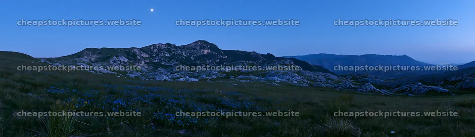 Starlit meadow with mountains and blue flowers at dusk – stock pictures 14762x4268