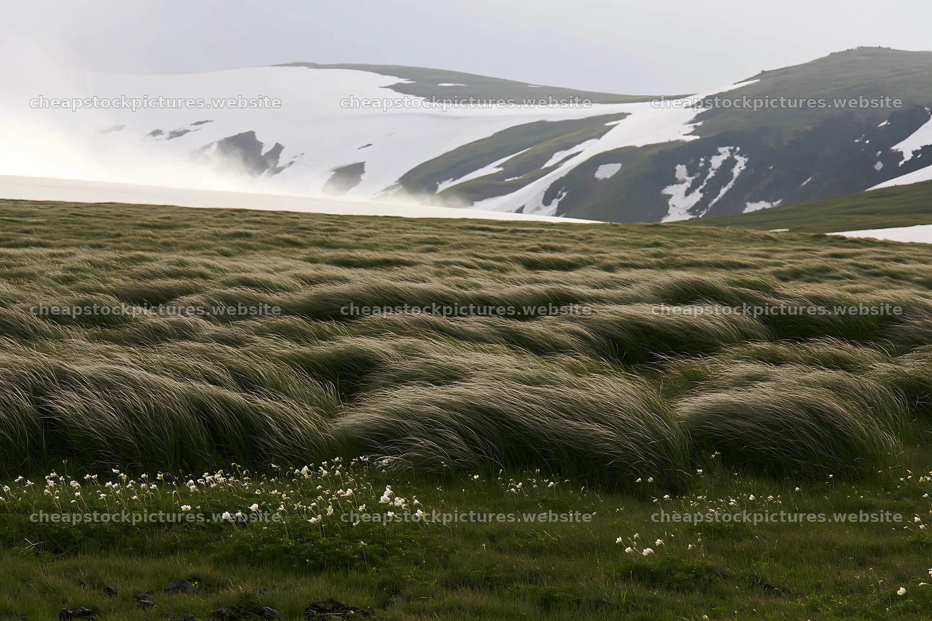 Akita meadow with snowmelt and silver grasses – stock pictures 9722x6480