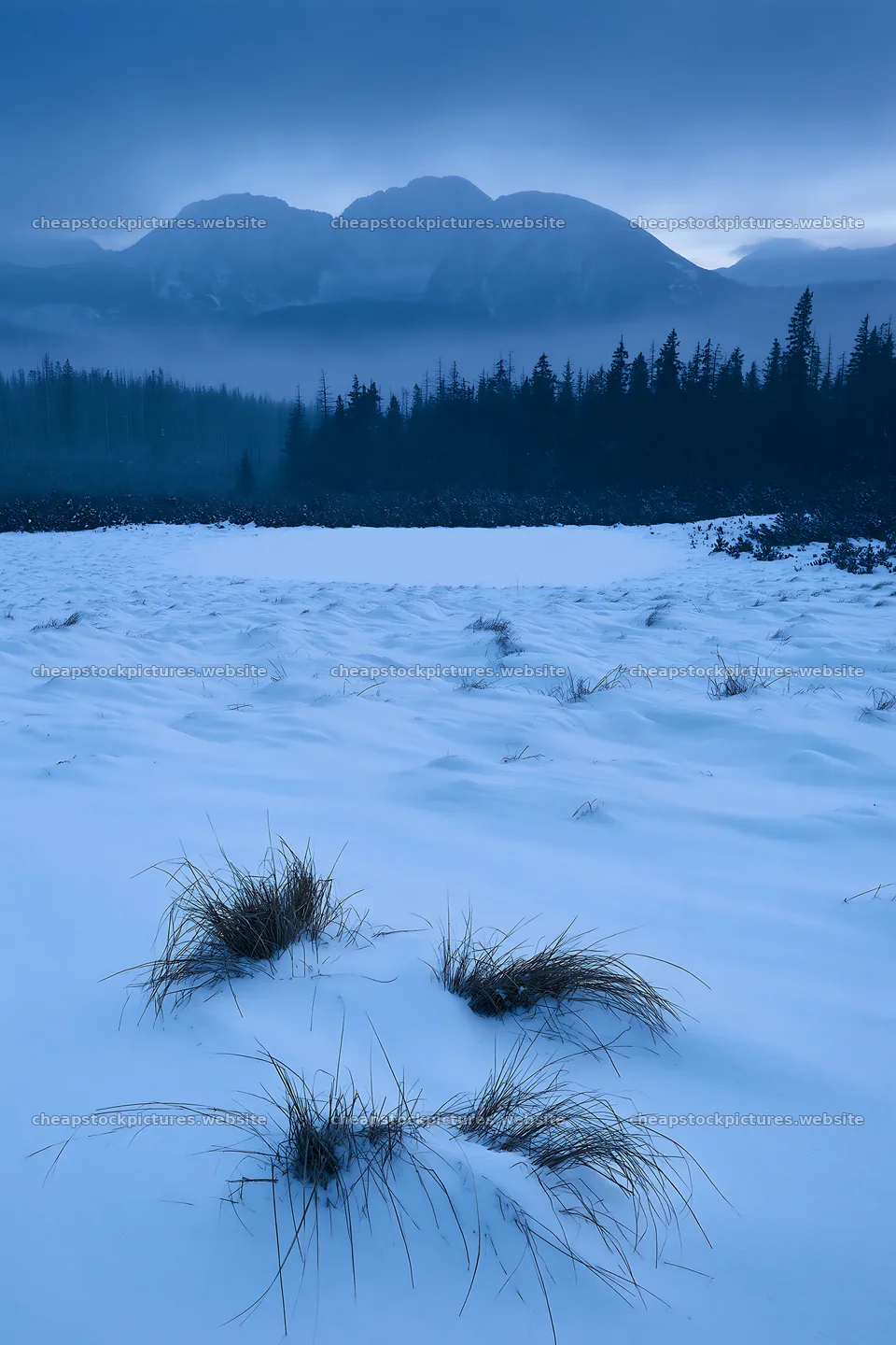 Snowbound meadow with grass and mountains under cloudy sky – stock pictures 6480x9722