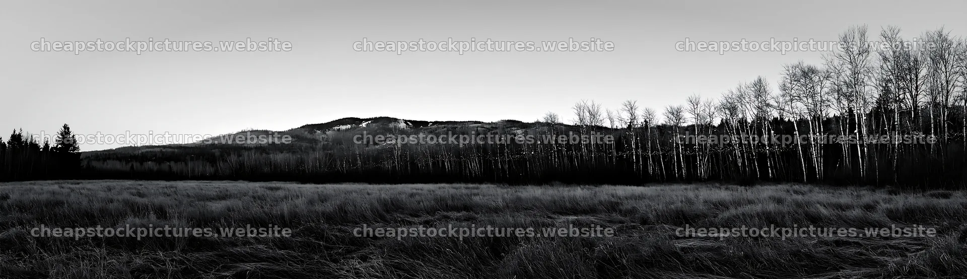 Open winter meadow with grasses and decorative baubles – stock pictures 14762x4268