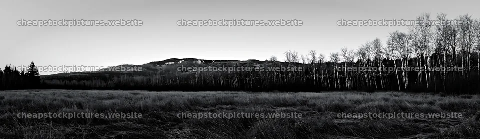 Open winter meadow with grasses and decorative baubles – stock pictures 14762x4268