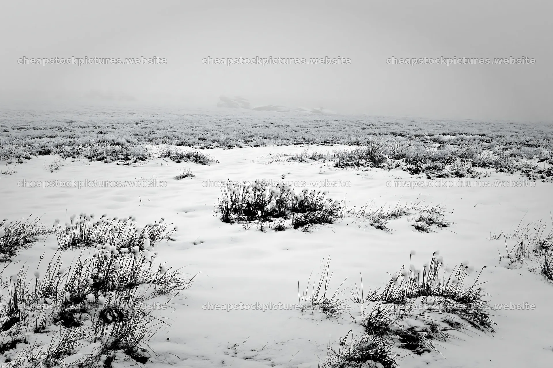 Snowbound meadow with snow-covered ground and low visibility – stock pictures 9722x6480