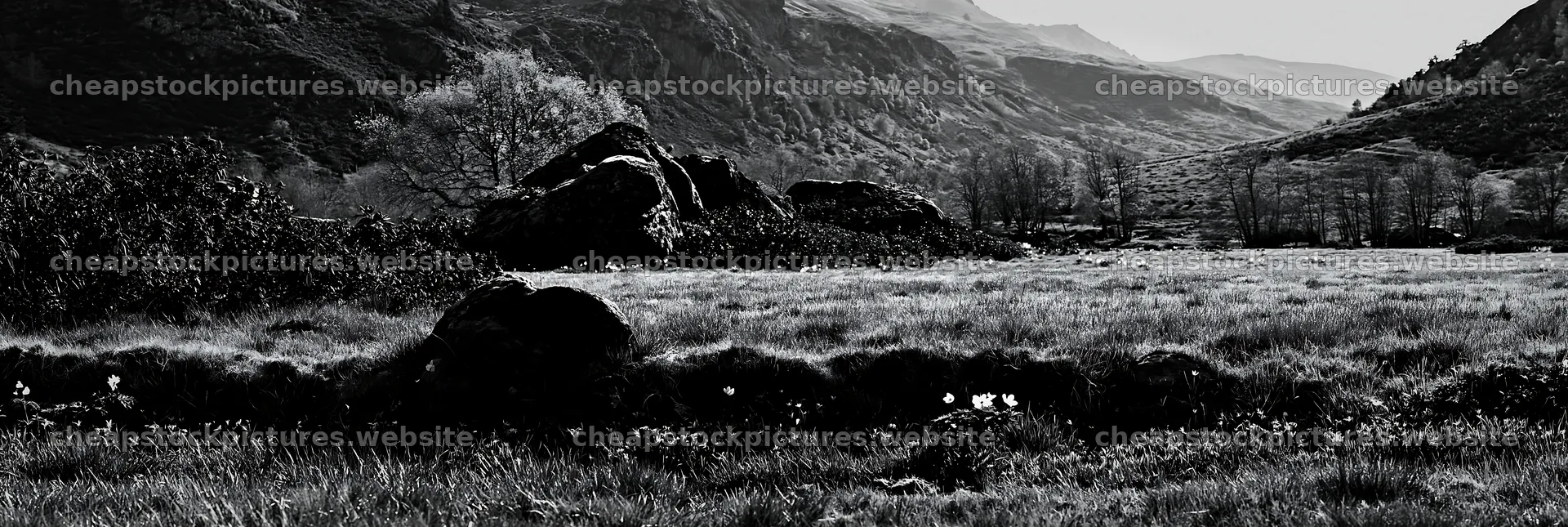 Meadow landscape with rocky hills and trees in black and white – stock pictures 13690x4602