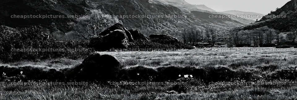 Meadow landscape with rocky hills and trees in black and white – stock pictures 13690x4602