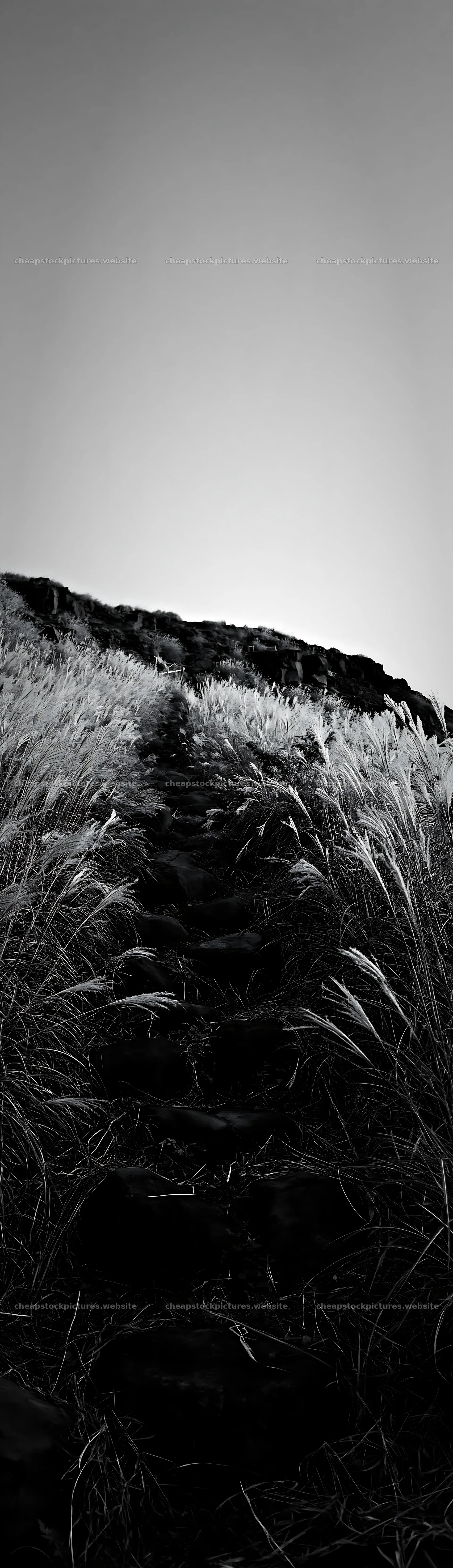 Silver grass meadow with stones near a hill in black and white – stock pictures 4268x14762