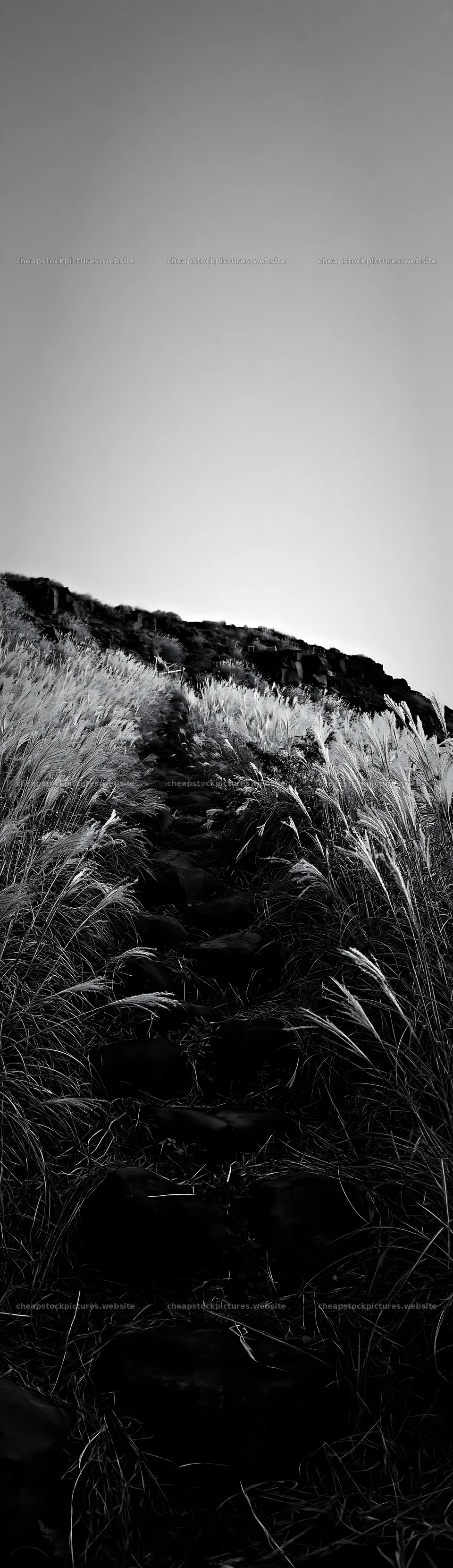 Silver grass meadow with stones near a hill in black and white – stock pictures 4268x14762