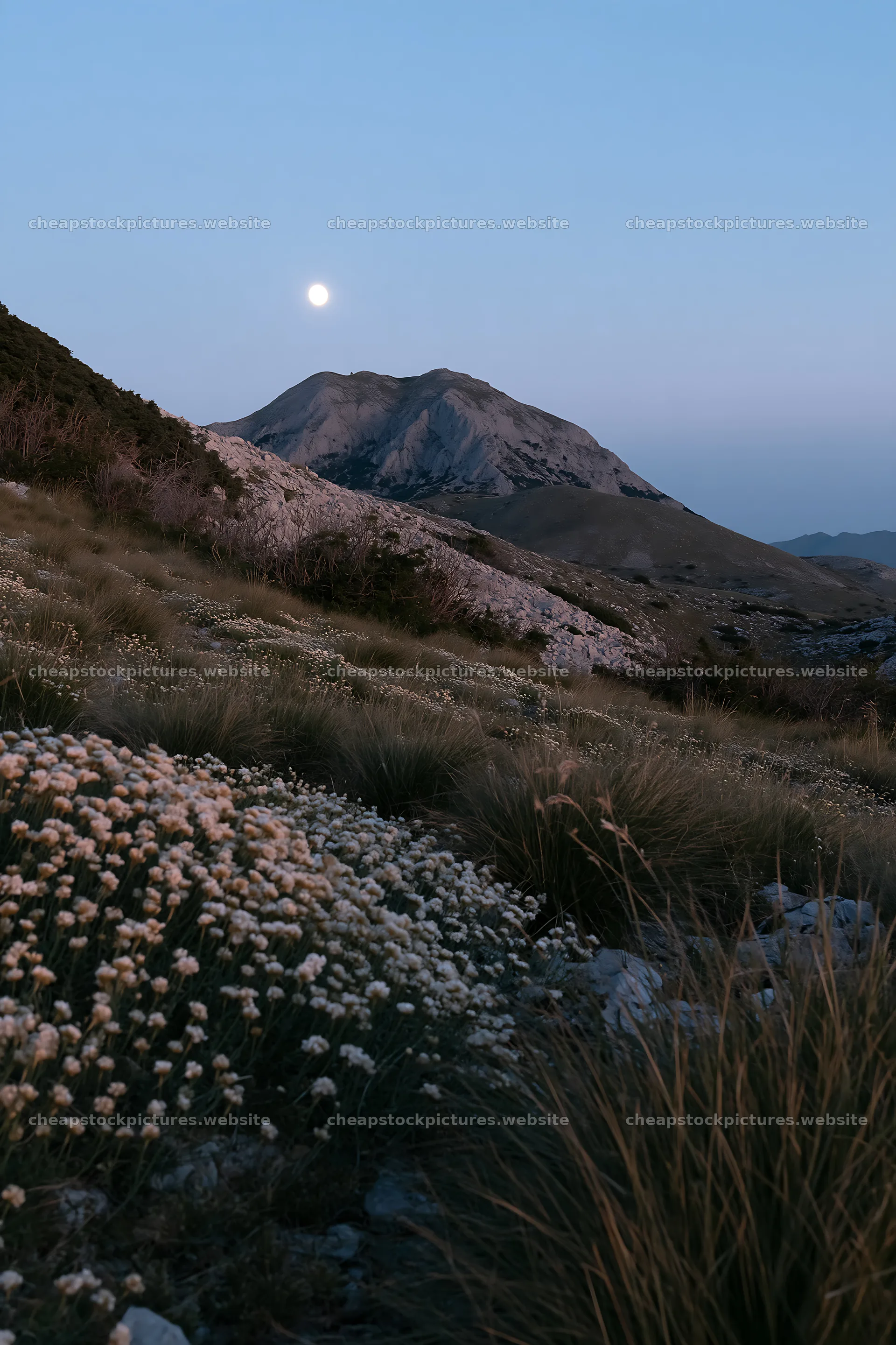 Moonrise over a meadow with flowers and mountains – stock pictures 6480x9722