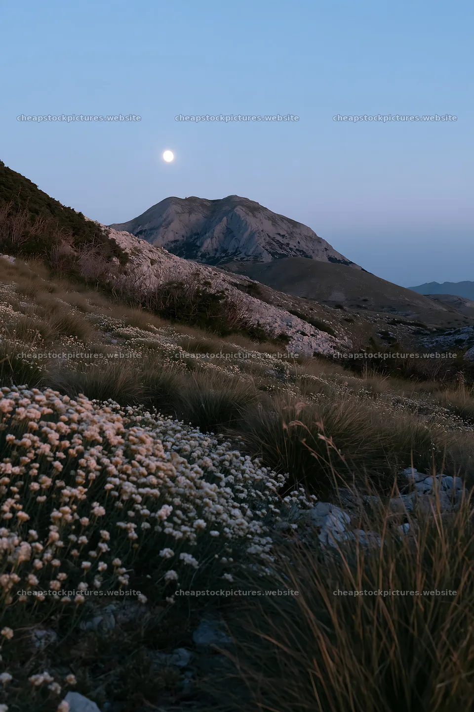 Moonrise over a meadow with flowers and mountains – stock pictures 6480x9722