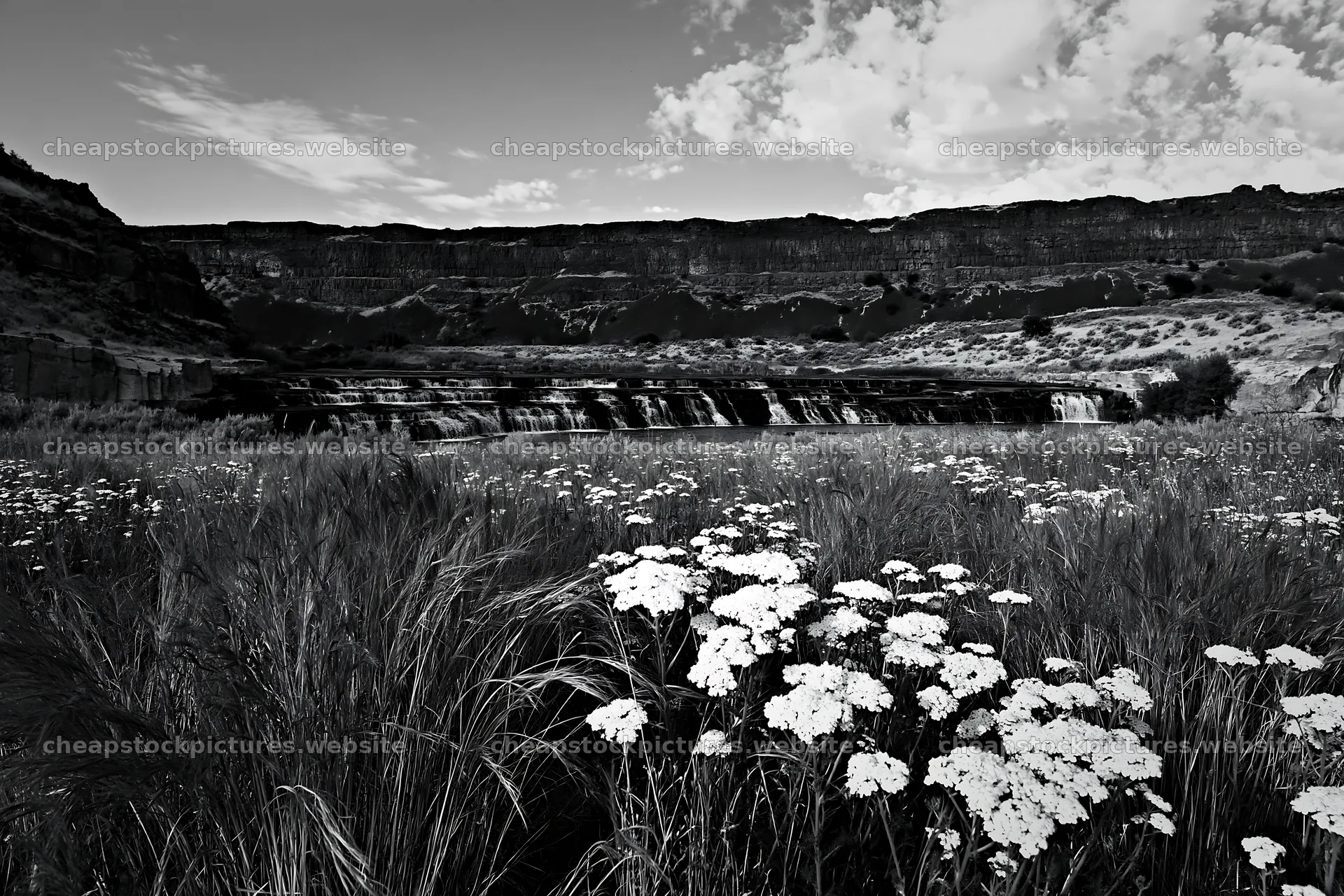 Wildflower meadow beside cascade in black and white – stock pictures 9722x6480