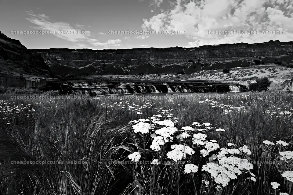 Wildflower meadow beside cascade in black and white – stock pictures 9722x6480