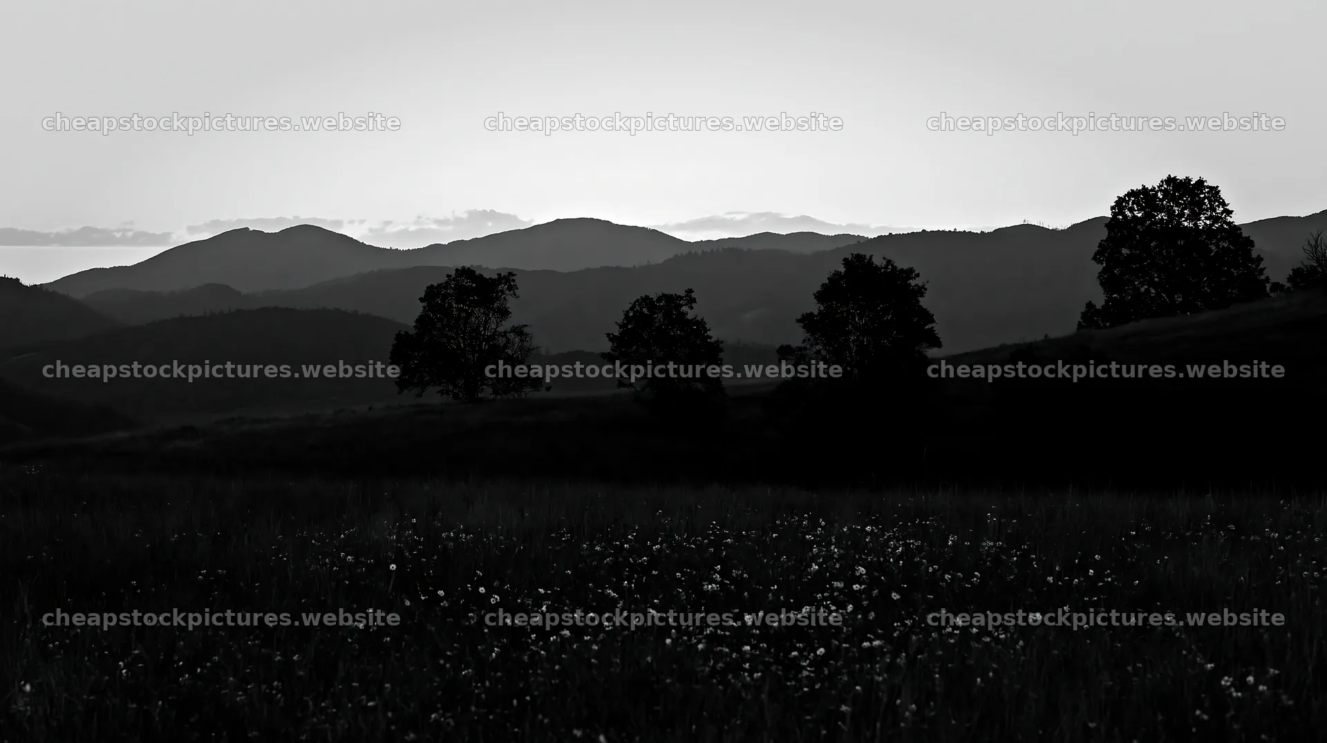 Highland apple meadow during twilight hours – stock pictures 10608x5938