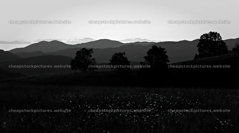 Highland apple meadow during twilight hours – stock pictures 10608x5938