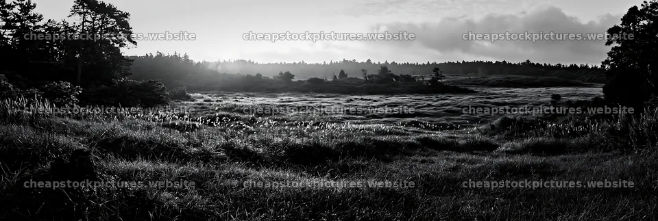 Fukushima native meadow with weathered stump at sunrise – stock pictures 13690x4602