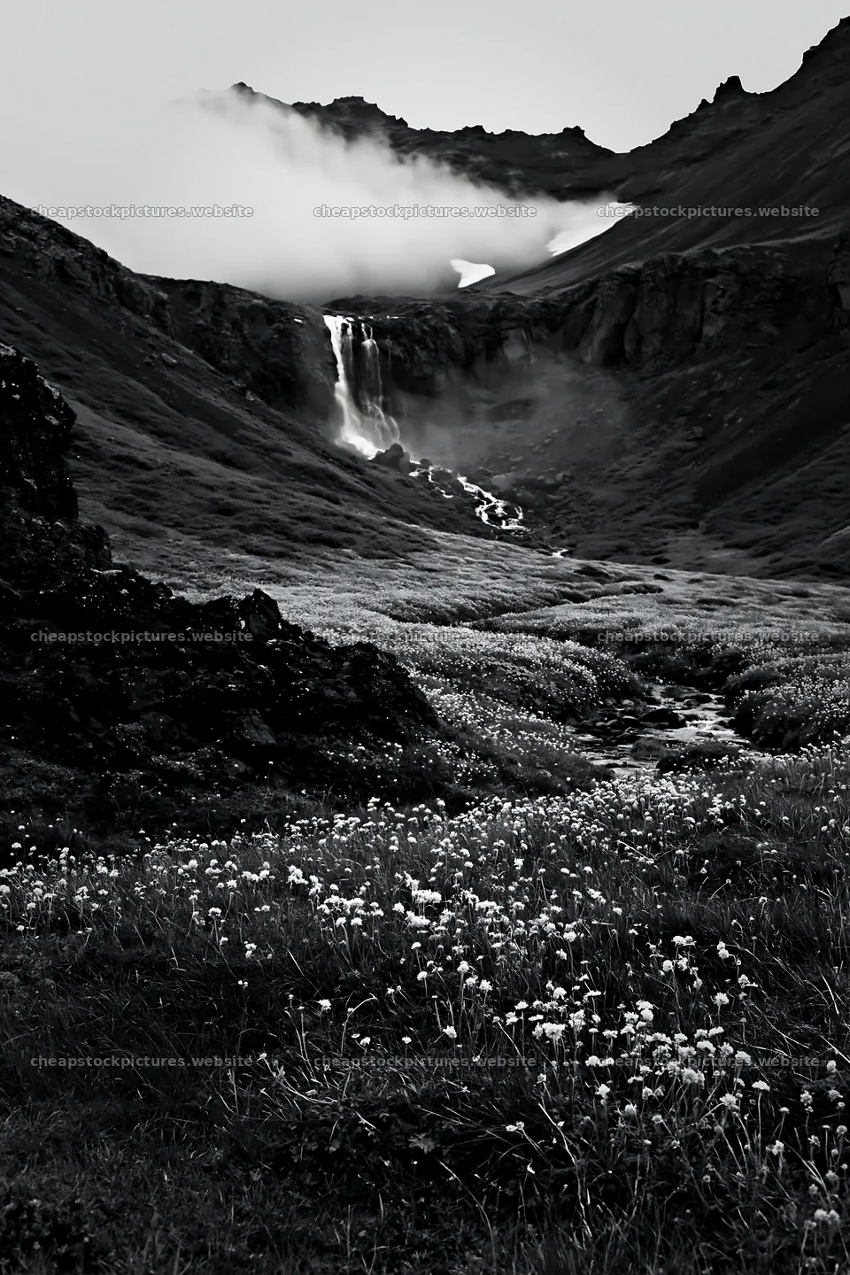 Flowering meadow near mountain falls with waterfall in background – stock pictures 6480x9722