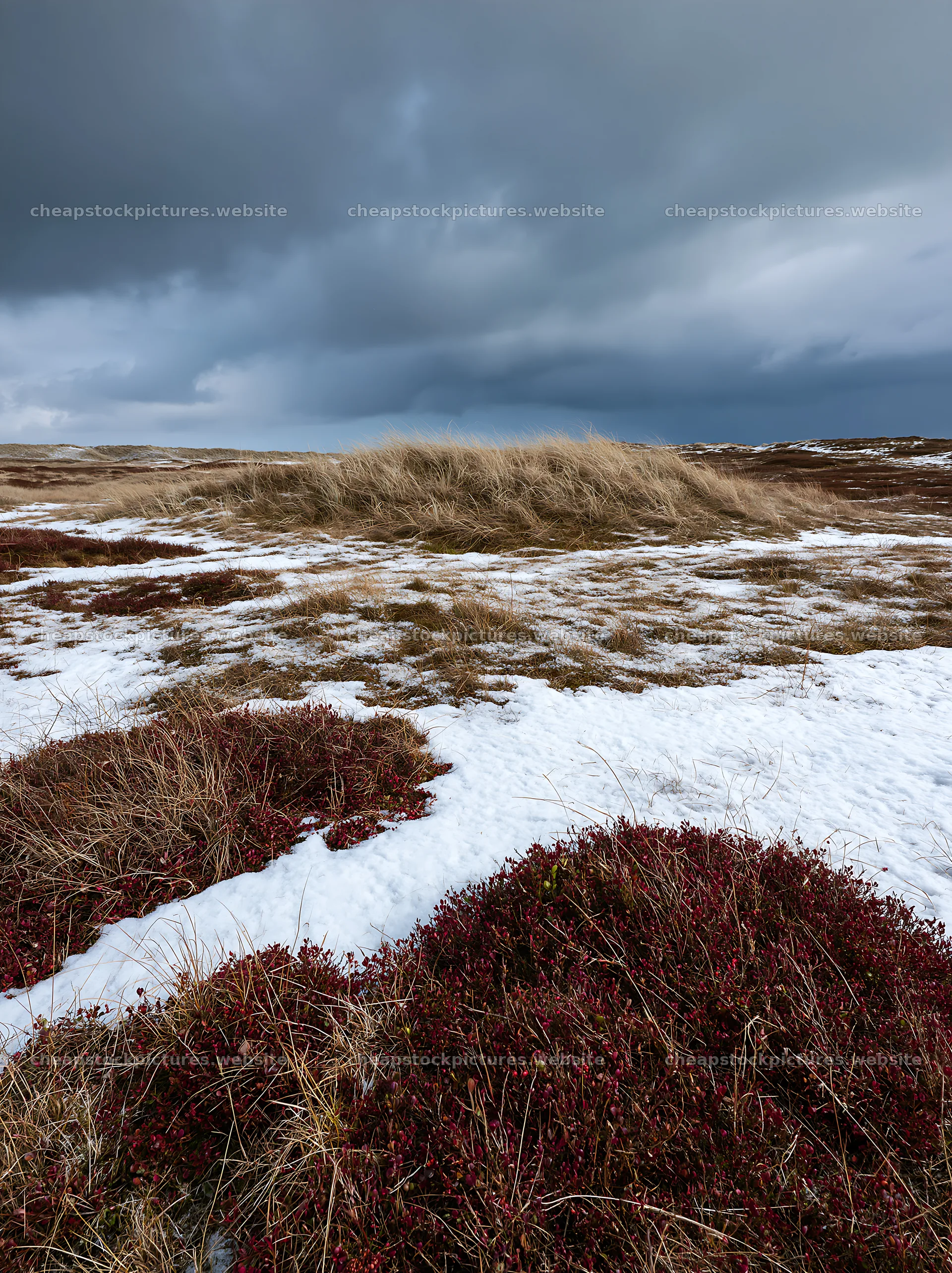 Dune meadow with snow and dry grass under cloudy sky – stock pictures 6866x9174