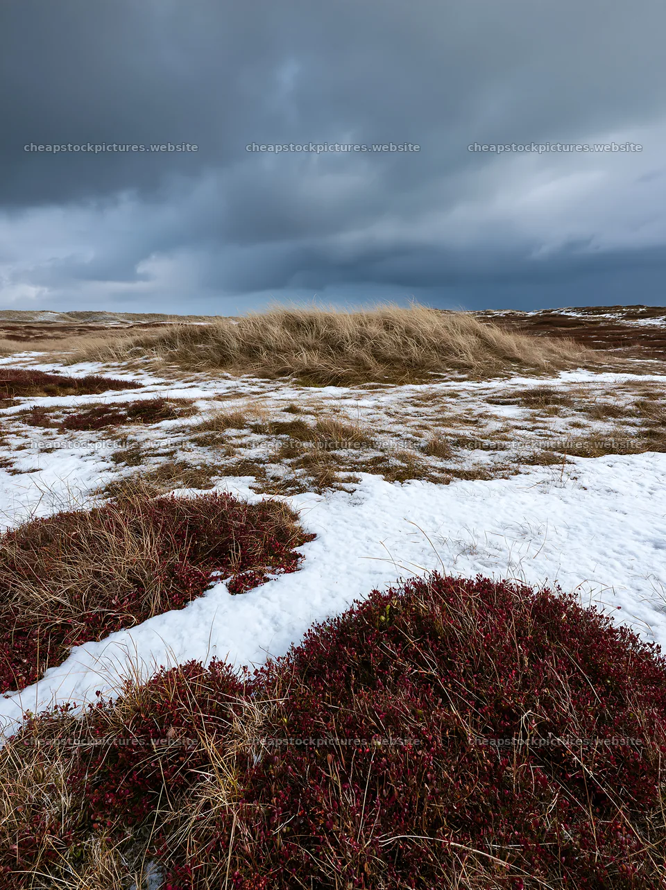 Dune meadow with snow and dry grass under cloudy sky – stock pictures 6866x9174