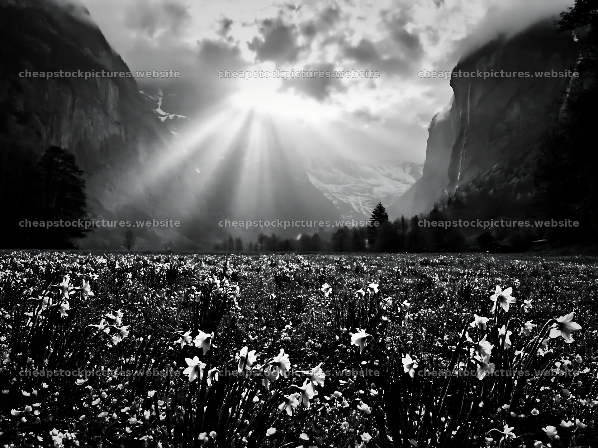 Light rays over Lauterbrunnen Valley meadow with flowers – stock pictures 9174x6866