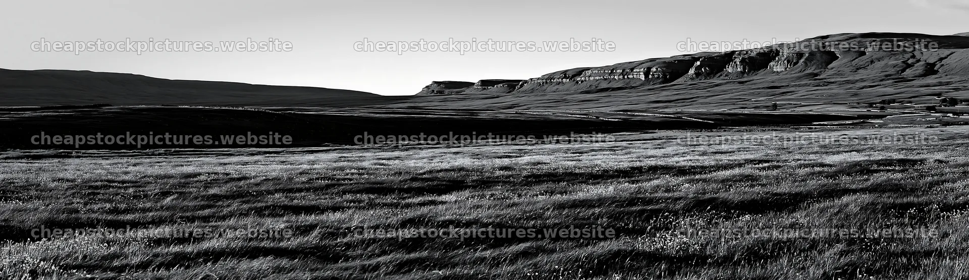 Yorkshire Dales buttercup hay meadow with distant hills – stock pictures 14762x4268