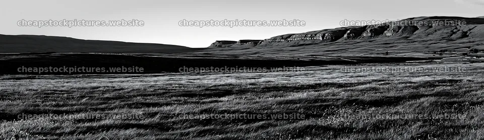 Yorkshire Dales buttercup hay meadow with distant hills – stock pictures 14762x4268