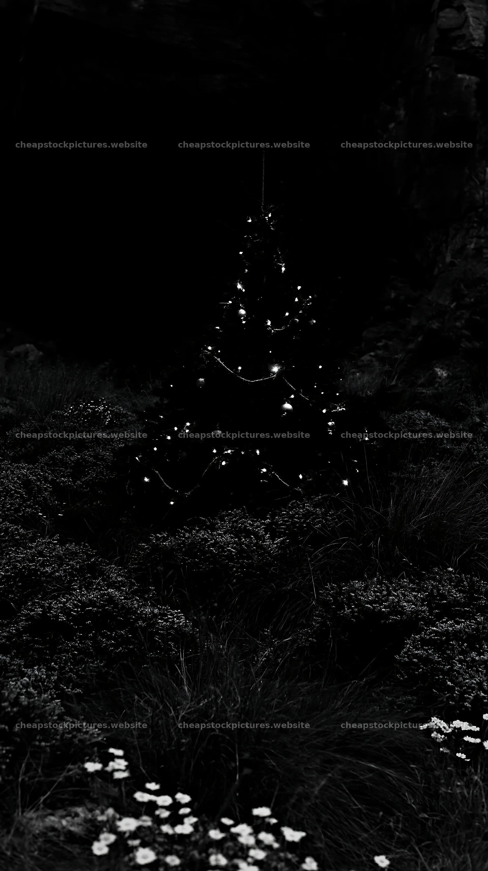 Christmas tree in meadow by cave at night – stock pictures 5938x10608