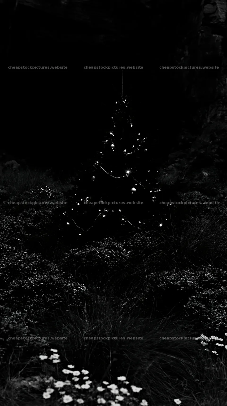 Christmas tree in meadow by cave at night – stock pictures 5938x10608