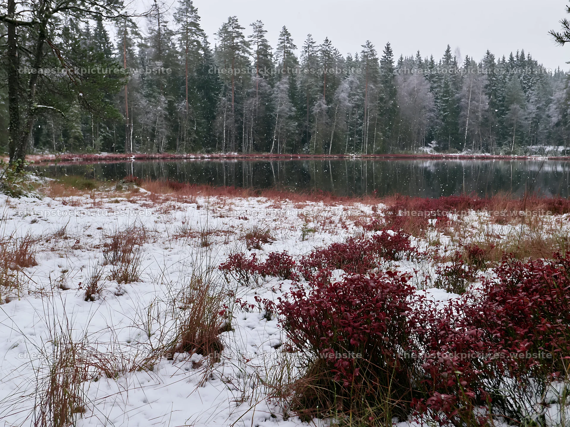 Lakeside meadow after first snowfall – stock pictures 9174x6866