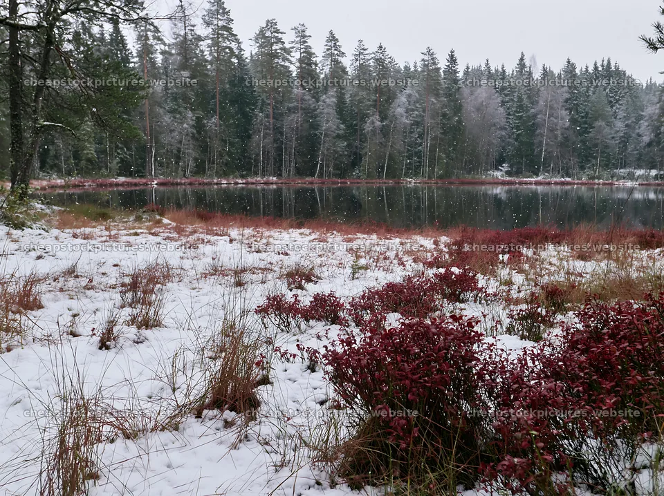 Lakeside meadow after first snowfall – stock pictures 9174x6866