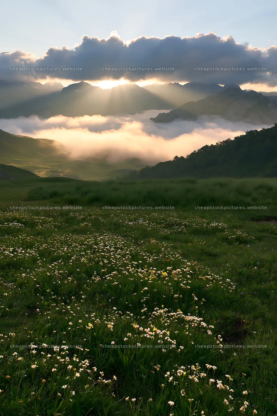 Sunrays over meadow in Picos de Europa – stock pictures 6480x9722