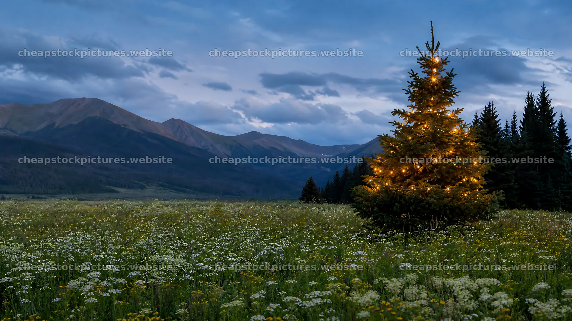 Decorated Christmas tree in mountain valley meadow – stock pictures 10584x5952