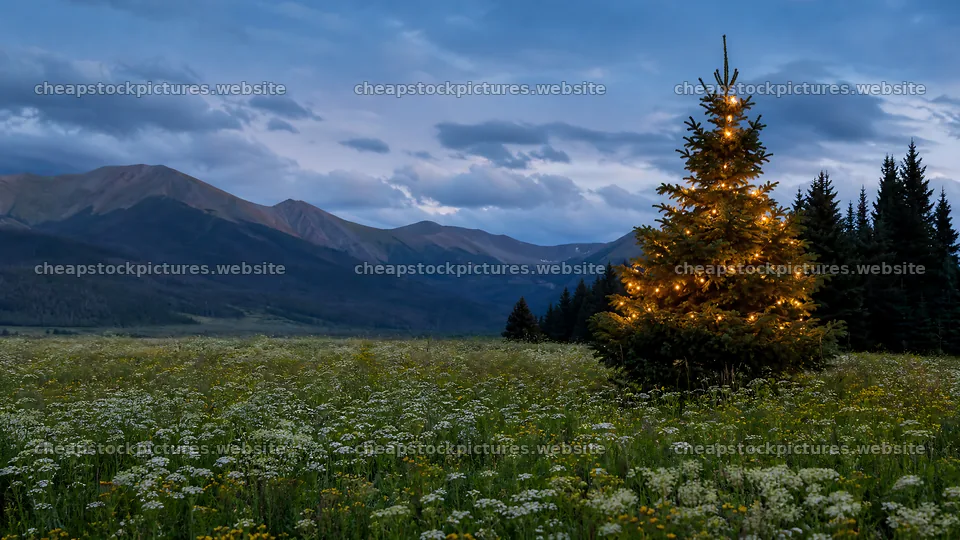 Decorated Christmas tree in mountain valley meadow – stock pictures 10584x5952