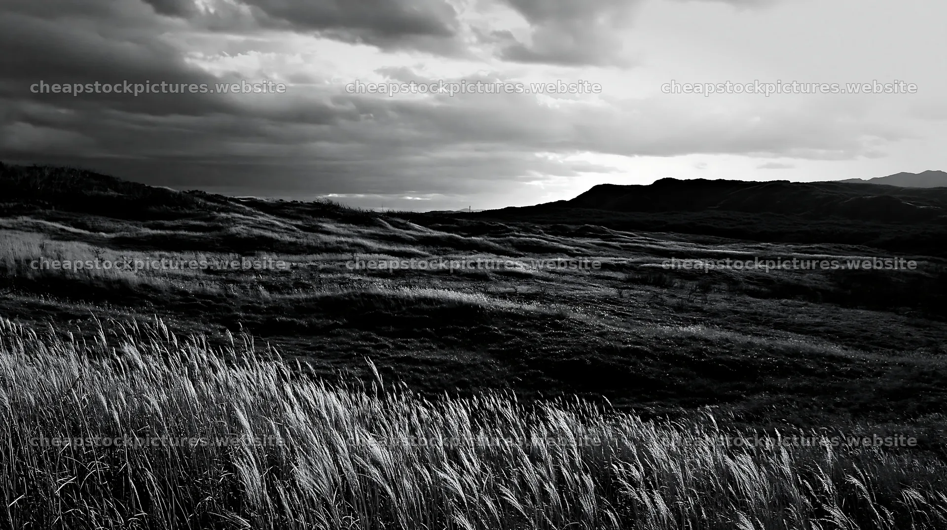 Tottori windy meadow with dune grasses under cloudy sky – stock pictures 10608x5938