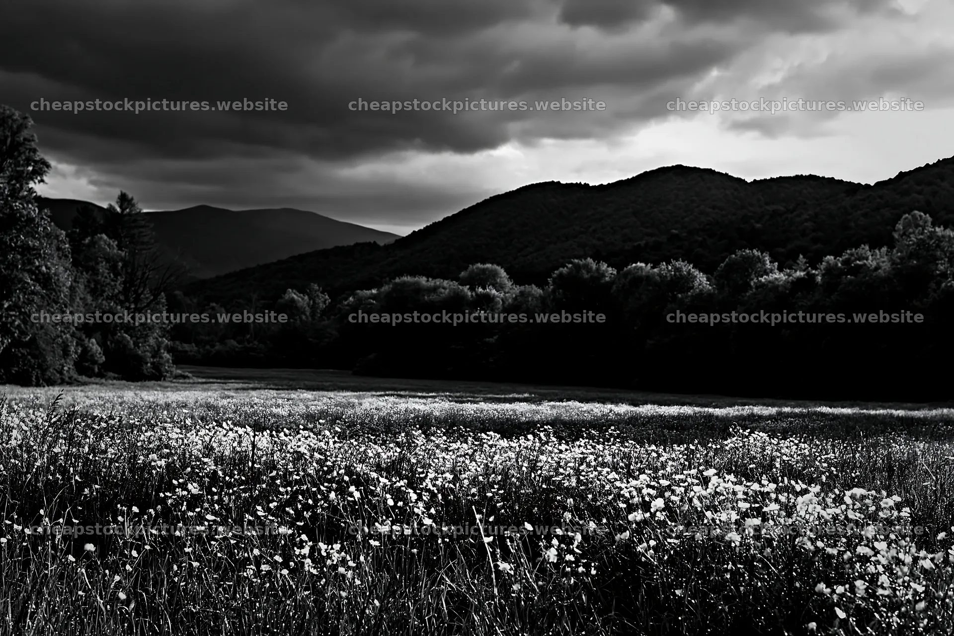 Buttercup meadow with mountains and dark skies – stock pictures 9722x6480