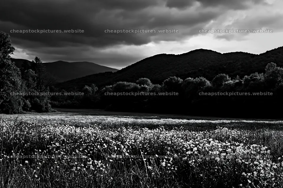 Buttercup meadow with mountains and dark skies – stock pictures 9722x6480