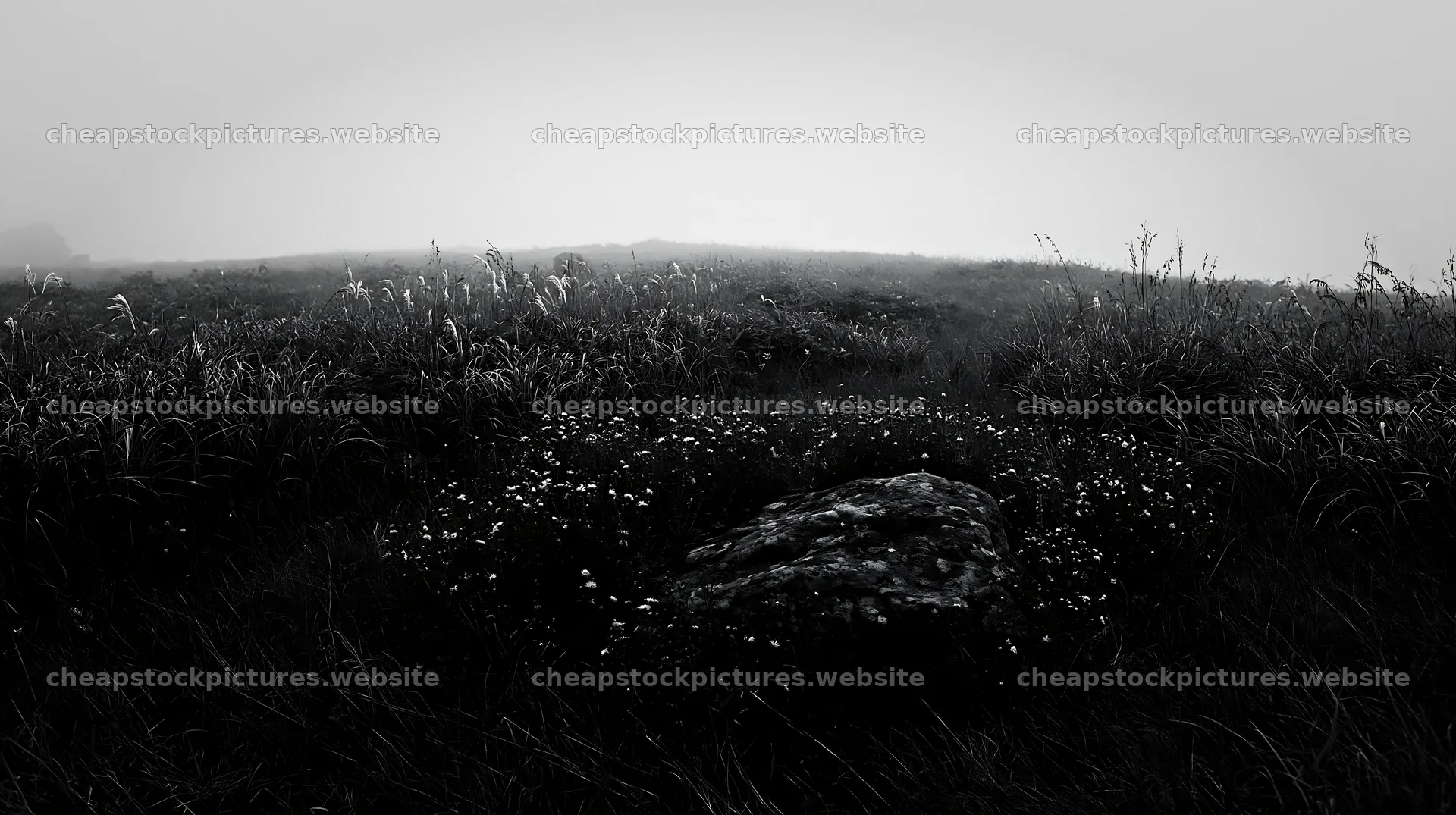 Aomori climate resilient meadow with boulder and fog – stock pictures 10608x5938