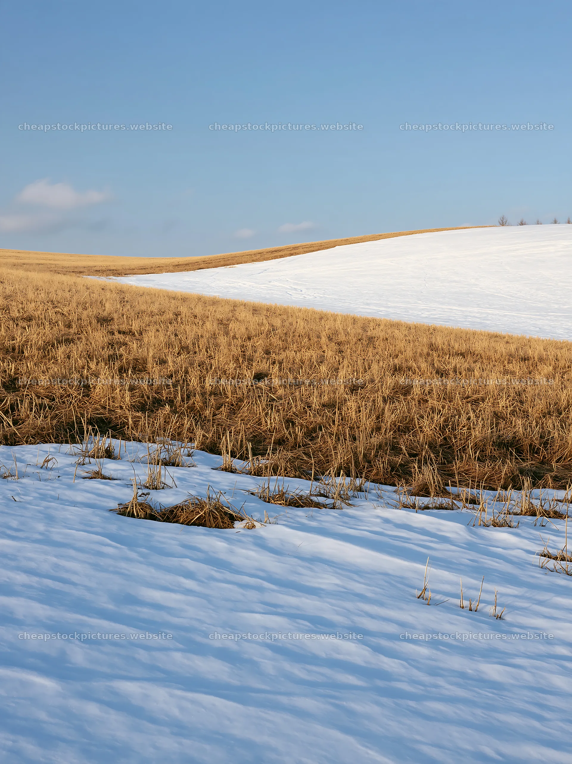 Snow covered Biei hills meadow in winter season – stock pictures 6866x9174