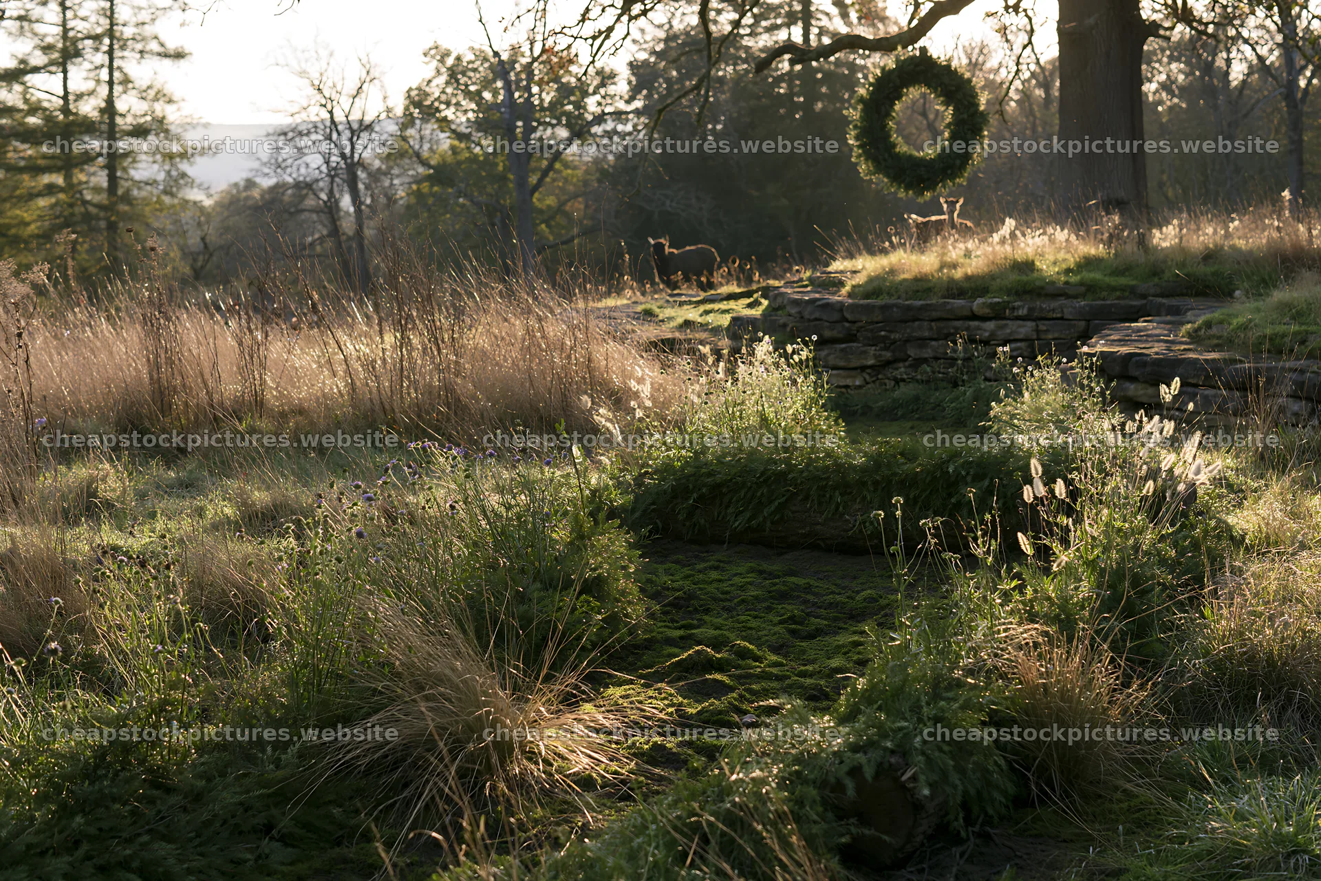 Expansive Christmas meadow with wreaths and log for soil – stock pictures 9722x6480
