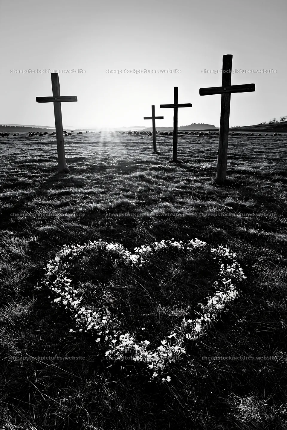 Four Christian crosses in a winter meadow – stock pictures 6480x9722