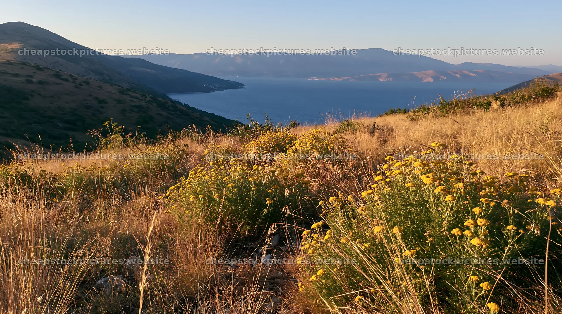 Croatian meadow above Adriatic coast during sunset – stock pictures 10608x5938