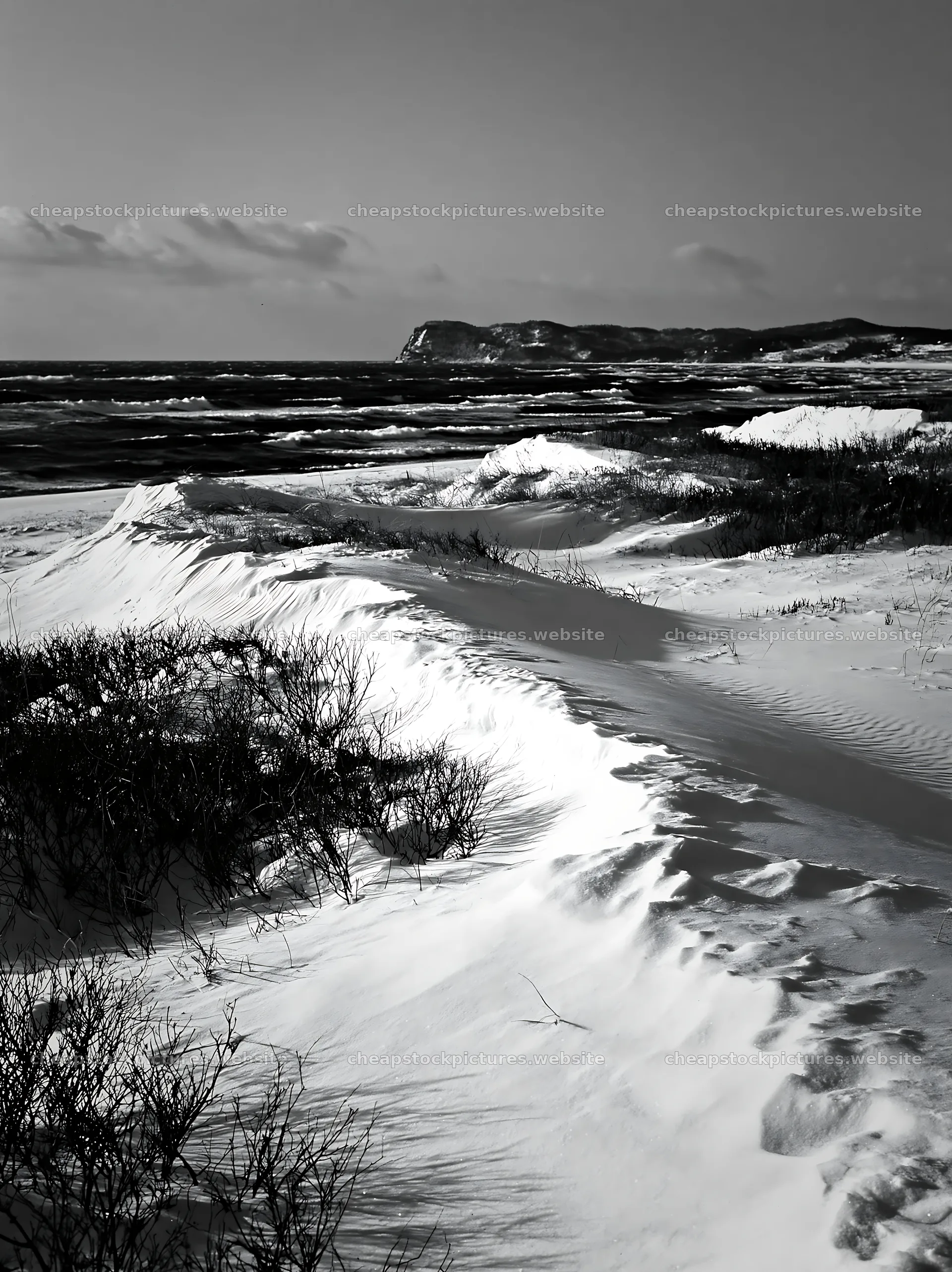 Snowy beach meadow with ocean view and distant cliff – stock pictures 6866x9174
