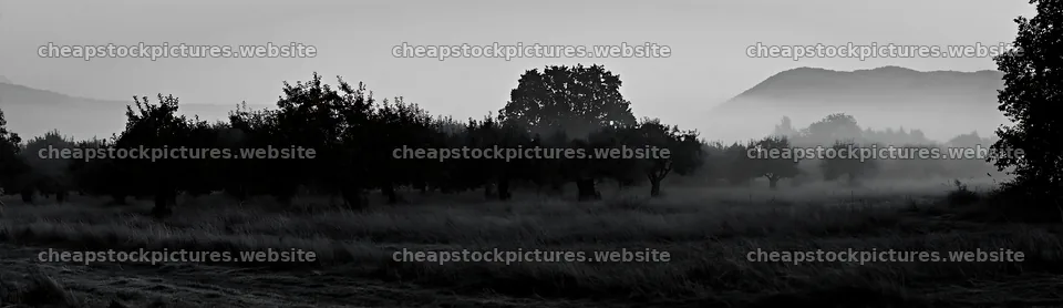 Foggy orchard meadow with distant hills and trees – stock pictures 14762x4268