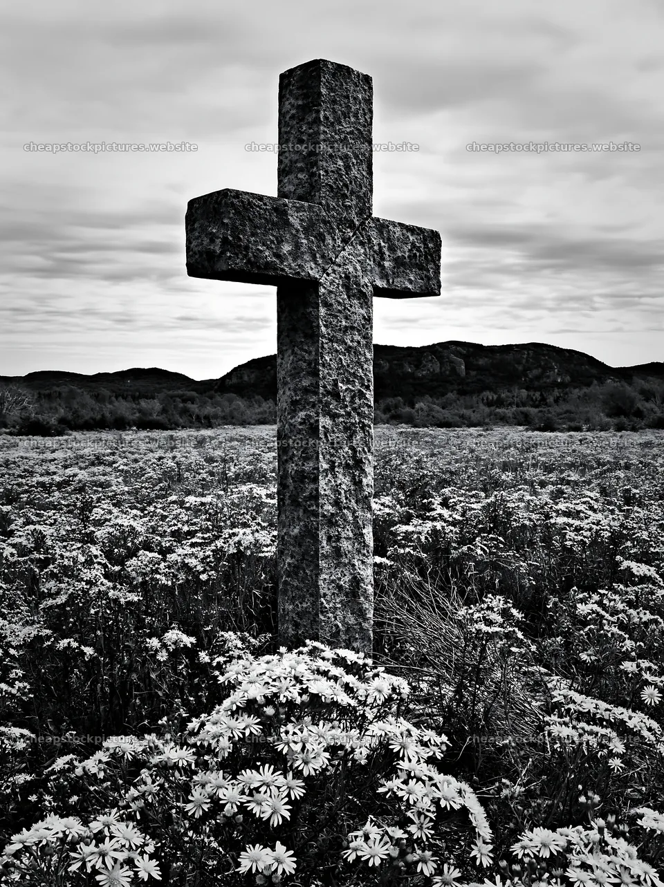 Christian cross in yellow wildflower meadow with mountains – stock pictures 6866x9174