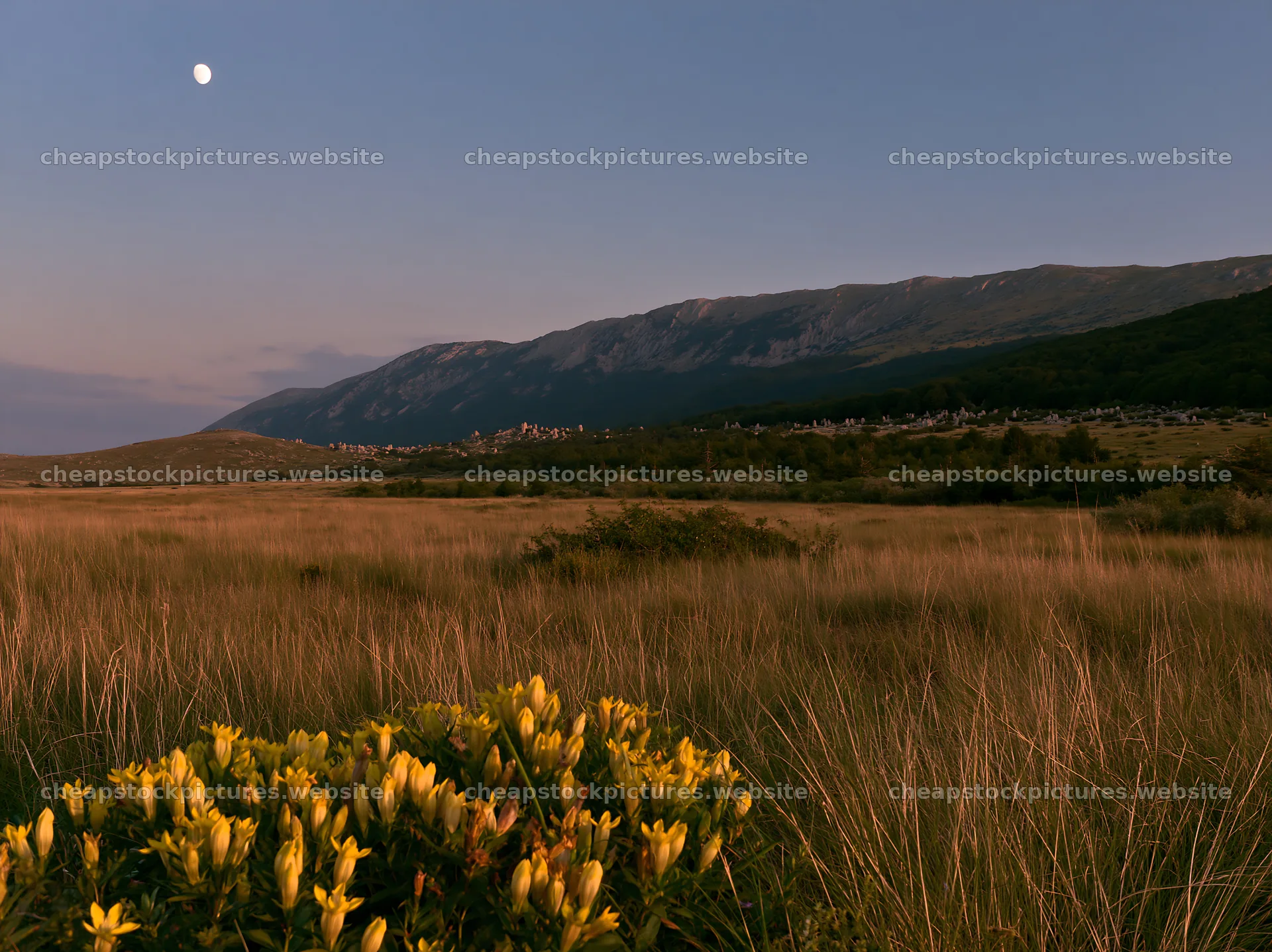 Moonrise over meadow with mountains in the background – stock pictures 9174x6866