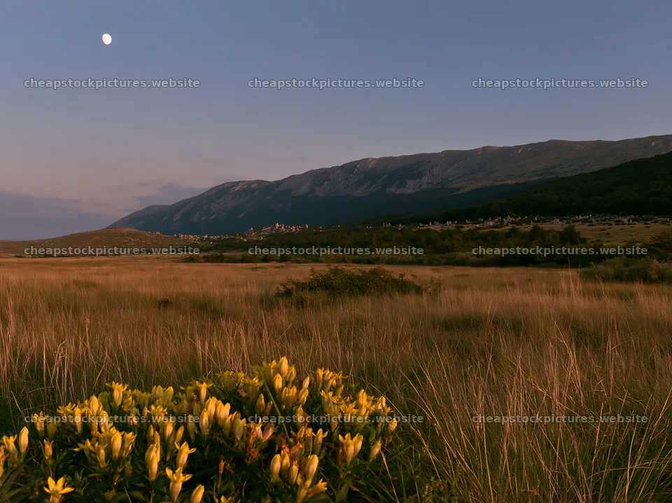Moonrise over meadow with mountains in the background – stock pictures 9174x6866